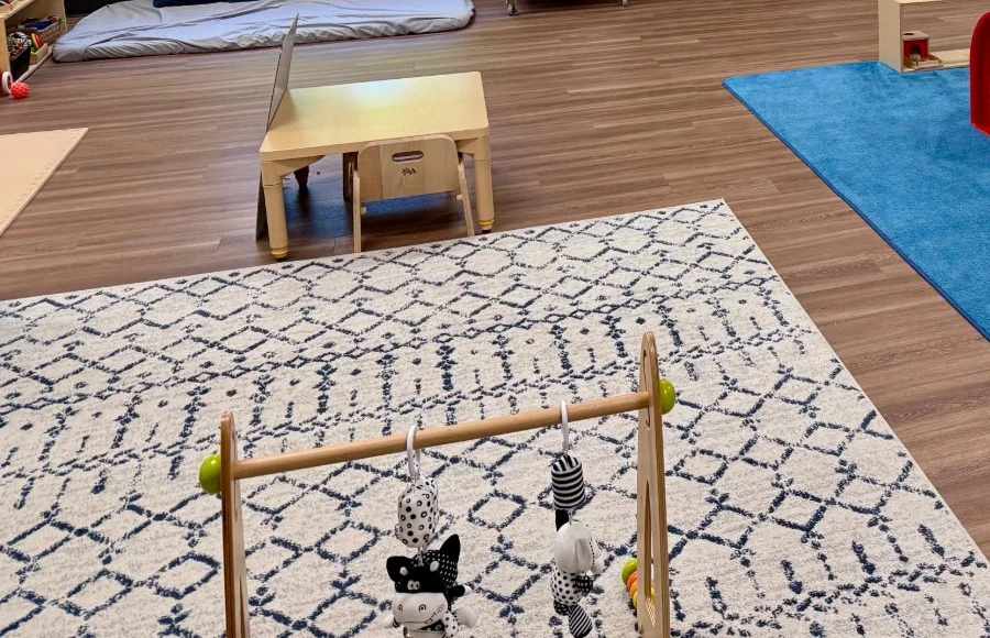 Low wooden hanging materials above a patterned floor rug in the school-supplied Nido room